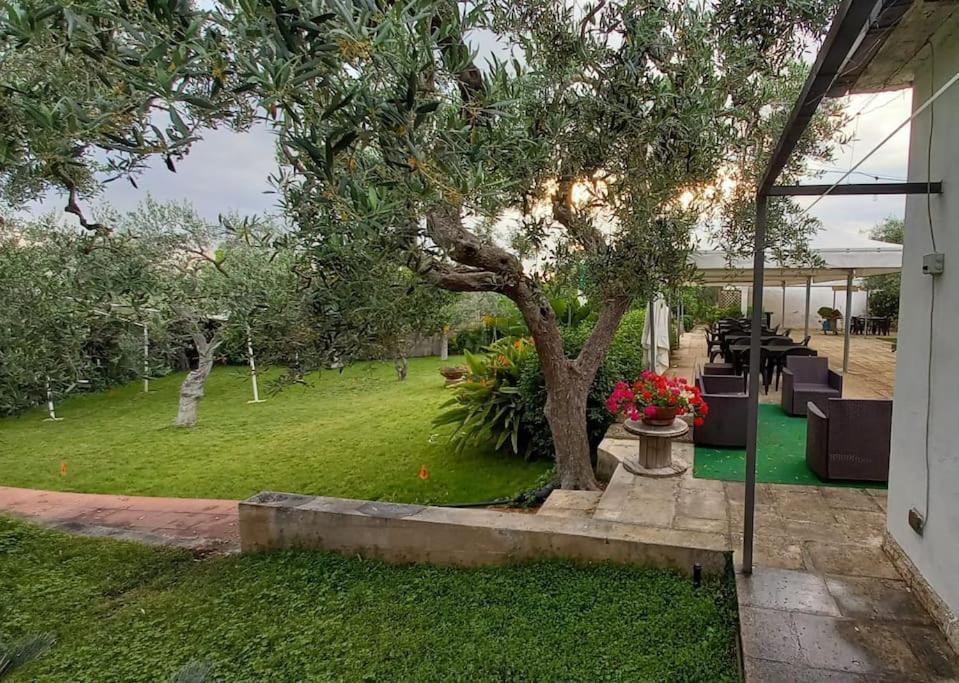 Countryhouse Gli Ulivi Modugno Esterno foto
