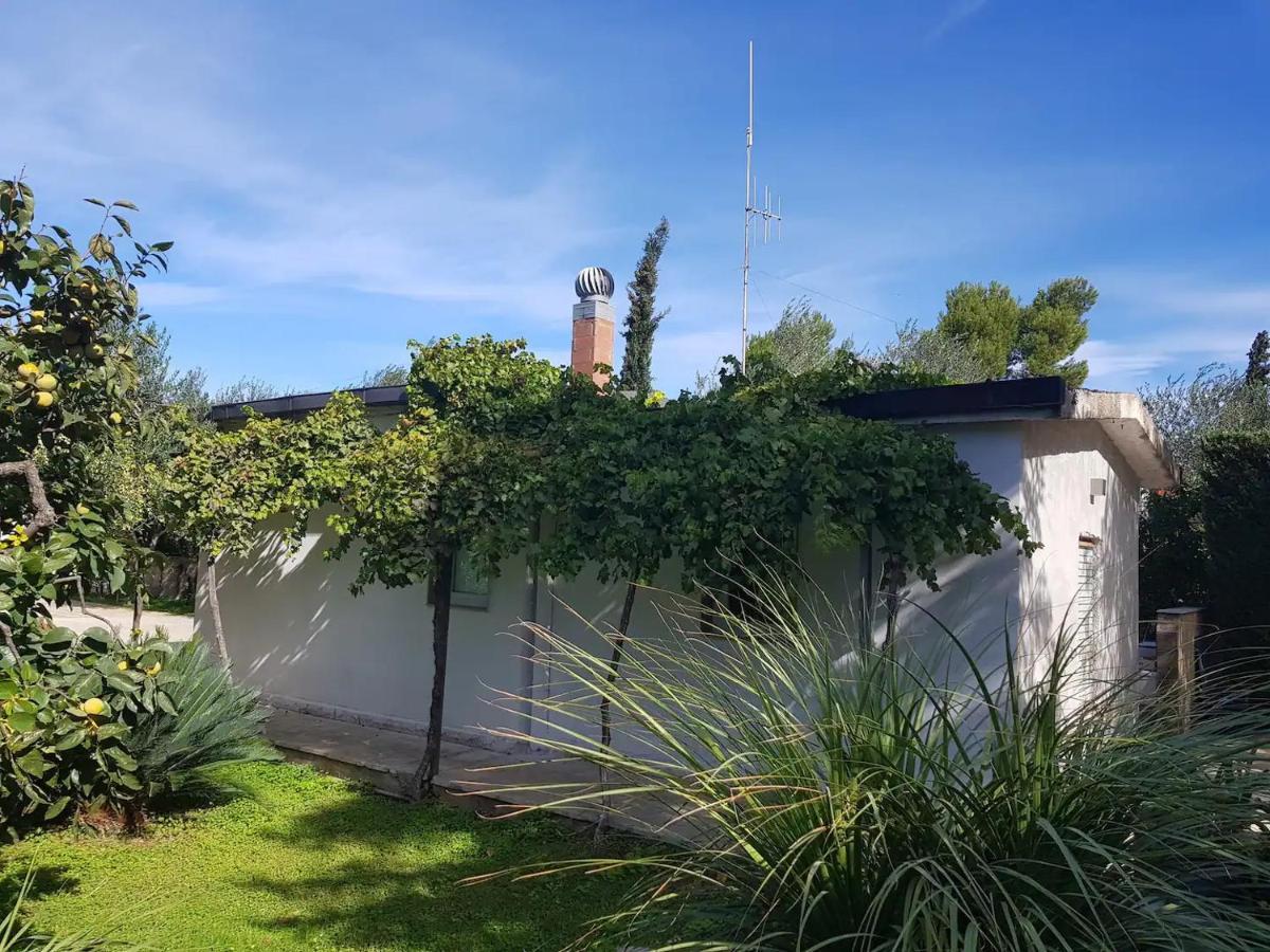 Countryhouse Gli Ulivi Modugno Esterno foto