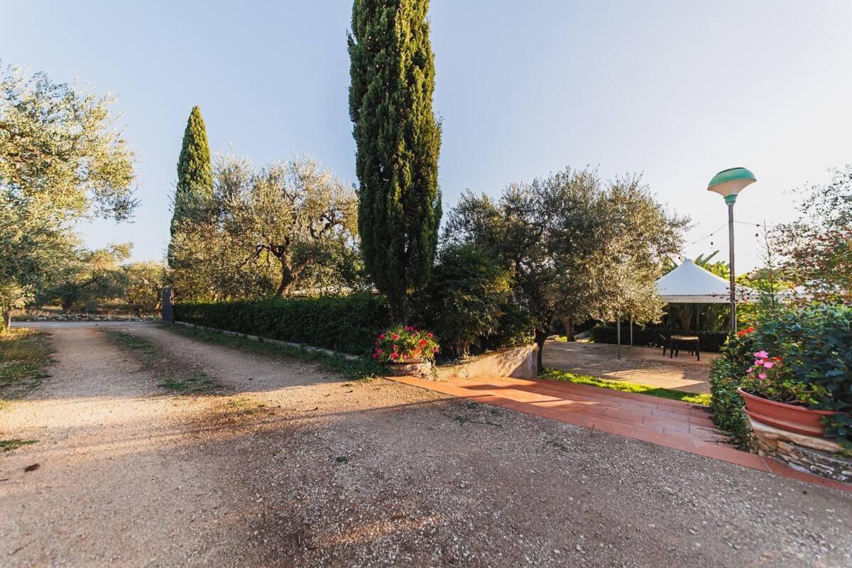 Countryhouse Gli Ulivi Modugno Esterno foto