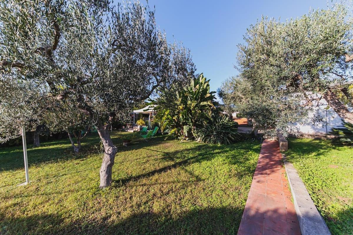 Countryhouse Gli Ulivi Modugno Esterno foto