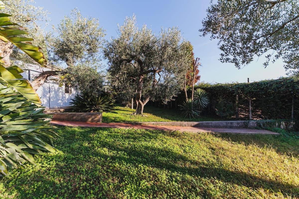 Countryhouse Gli Ulivi Modugno Esterno foto